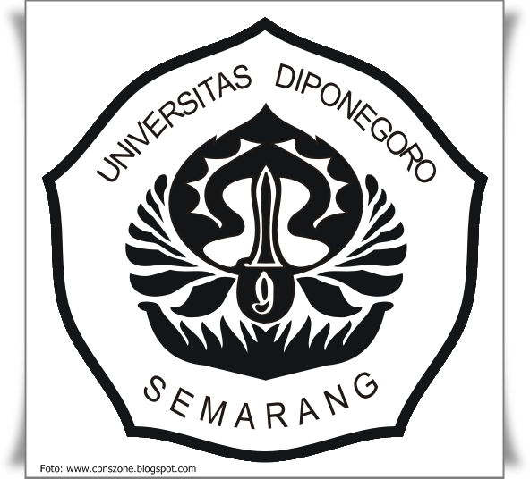 Semarang : Seminar & Workshop Internet Marketing di UNDIP Semarang