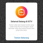 Ulasan Singkat tentang IGTV oleh Dosen Jualan