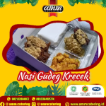 Peluang Bisnis Catering di Jogja