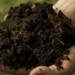 10 Rekomendasi Brand Pupuk Organik untuk Usaha Pertanian Lokal